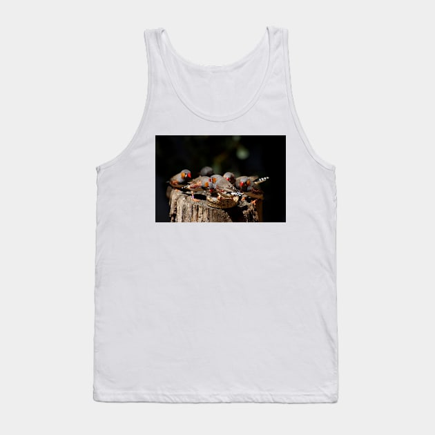 Zebra Finch Feeding Frenzy Tank Top by GP1746